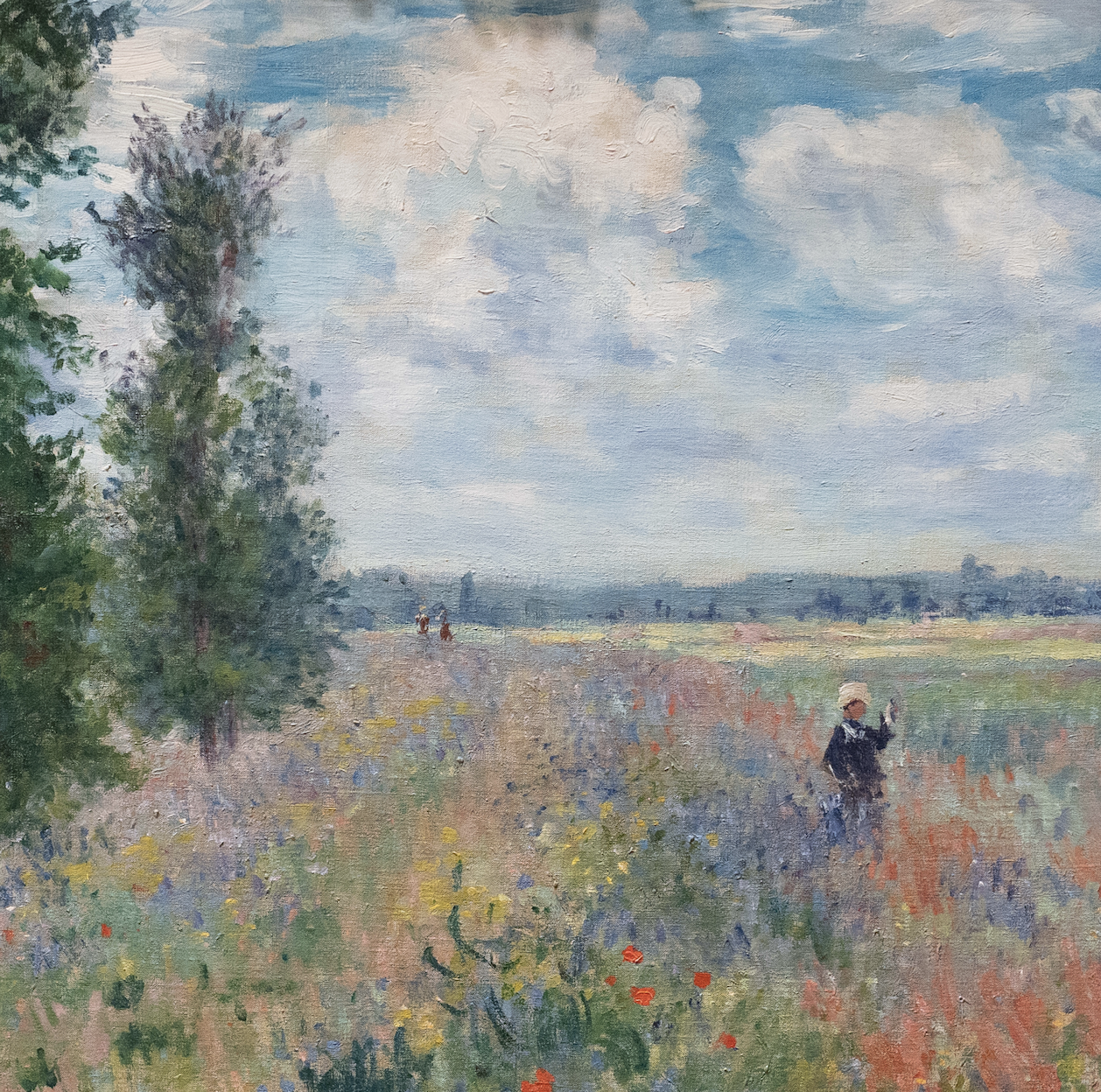 Monet Poppy Fields