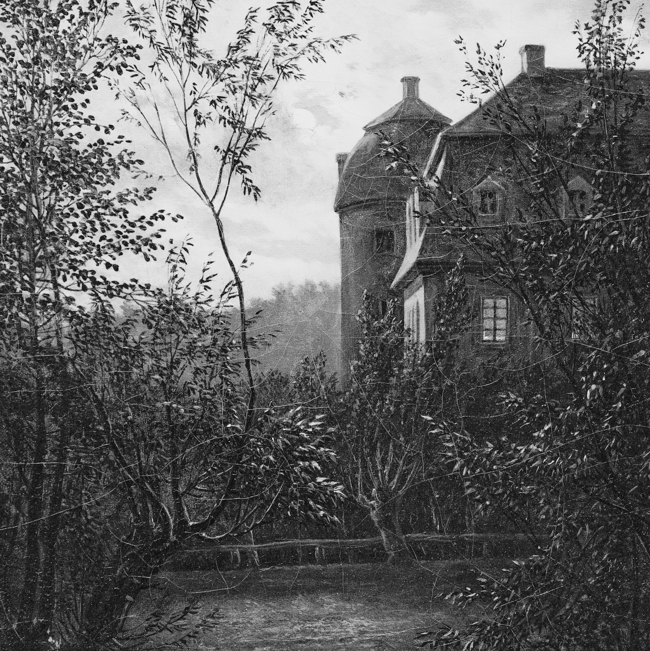 The Overgrown Garden