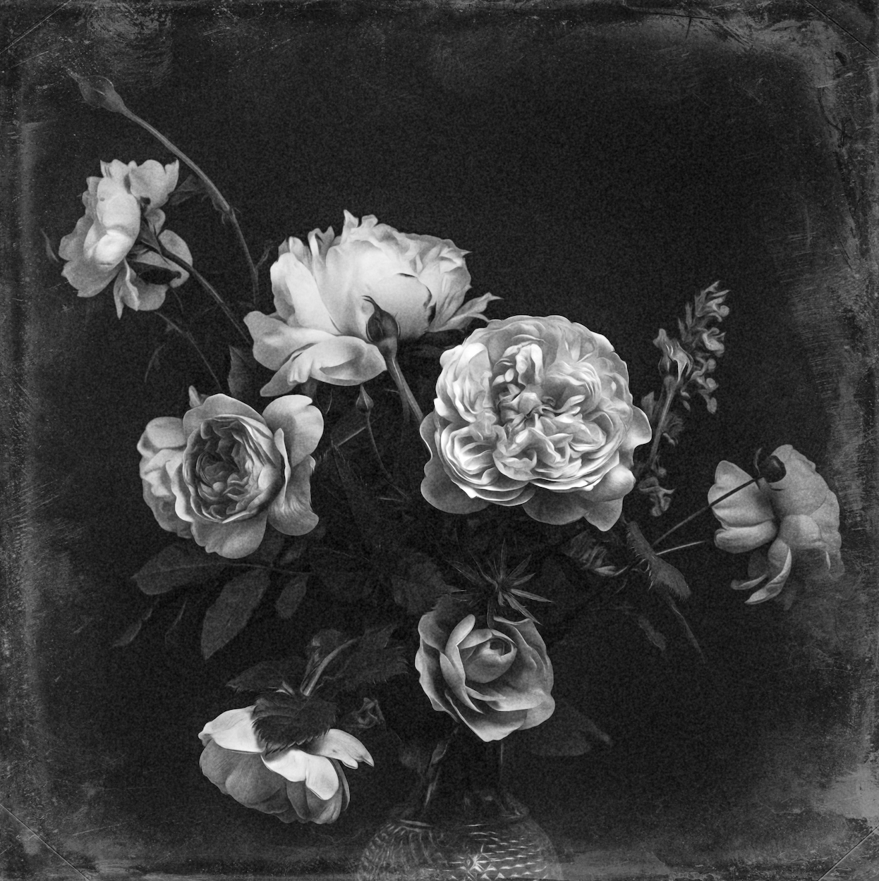 Simple Rose Arrangement