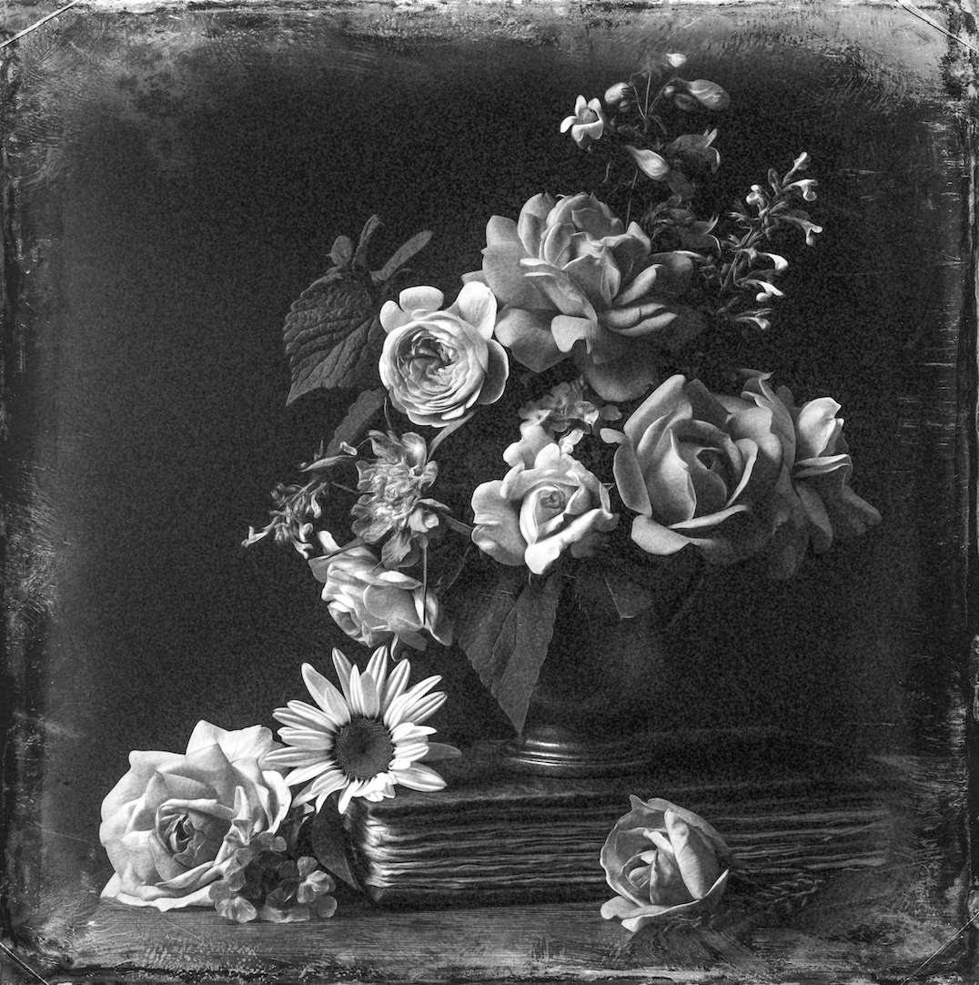 The Old Book & Roses