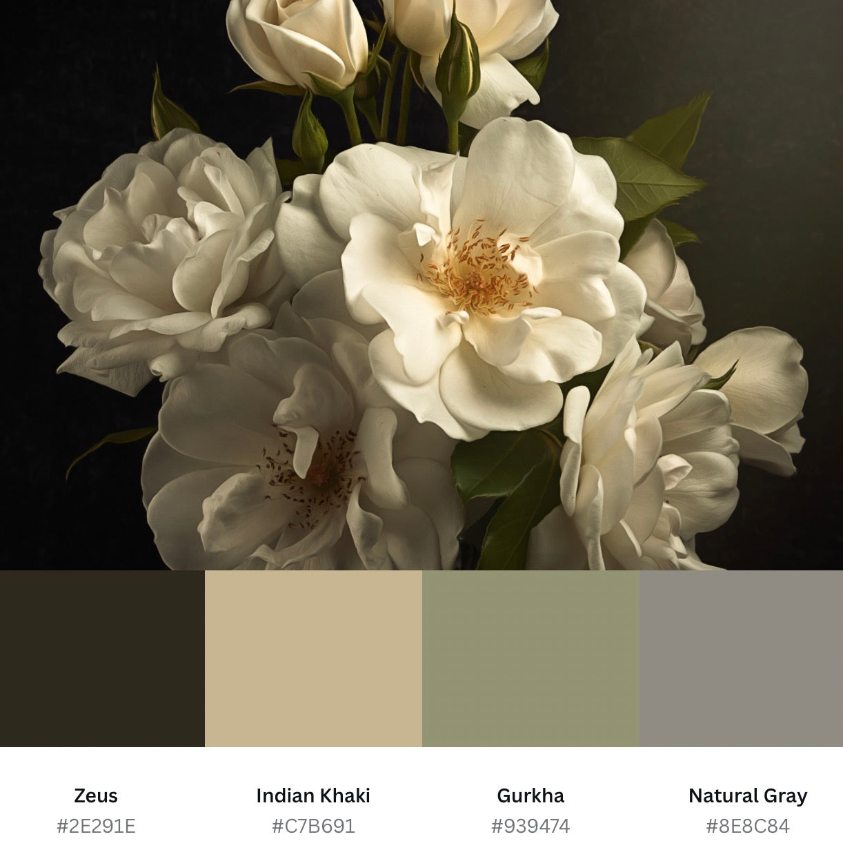 White Roses on Dark (Download)