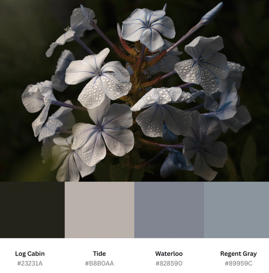 Pale Blue & Water Droplets (Download)