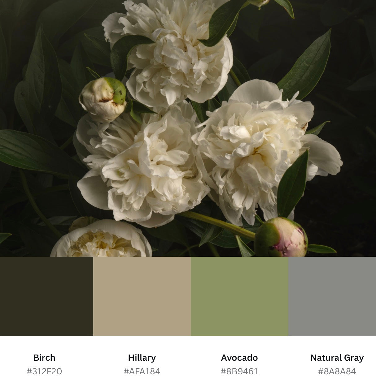 White Peonies Square Print - Download