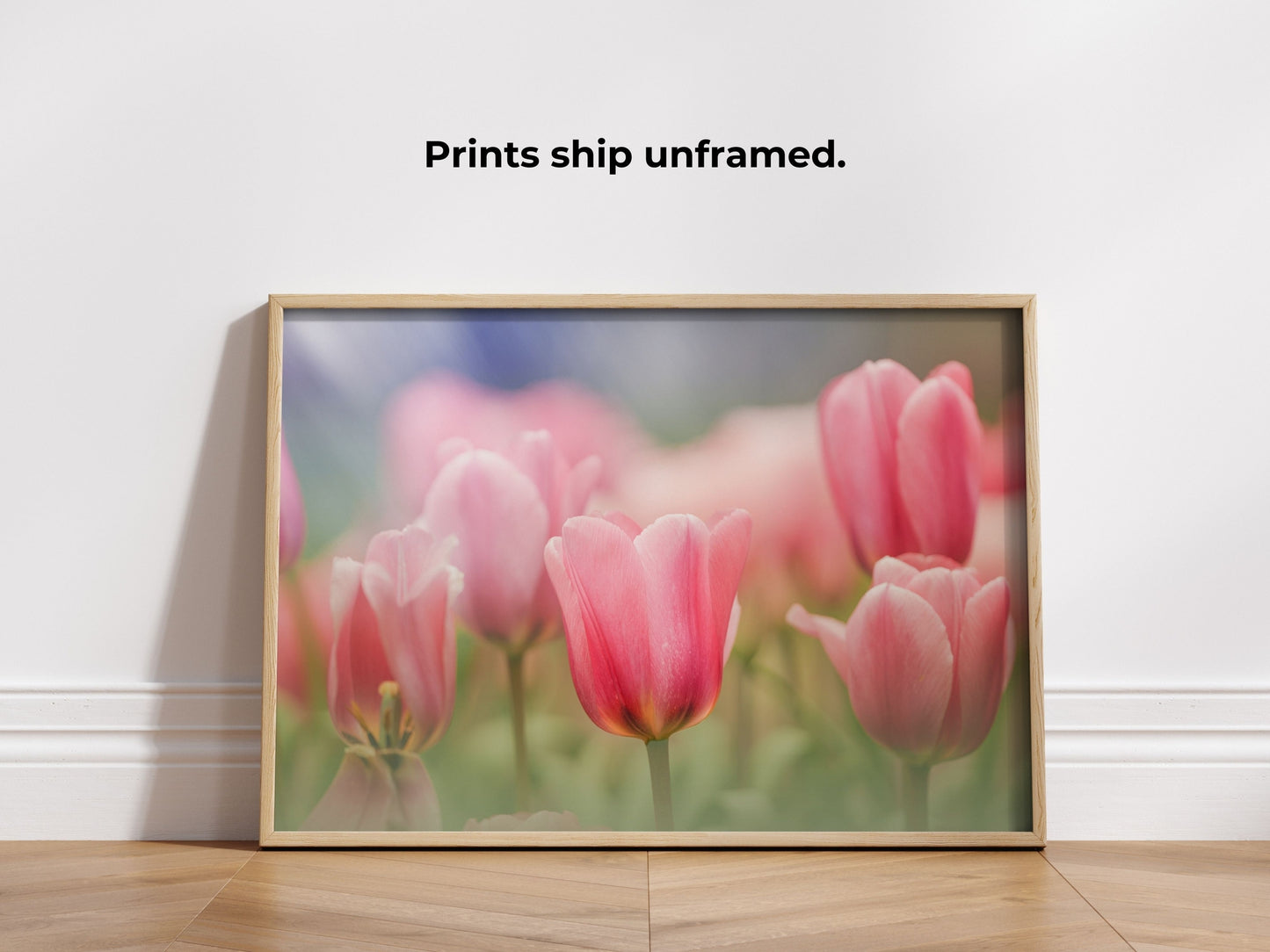 Blooming Pink Tulips in a Soft Dreamy Garden Setting