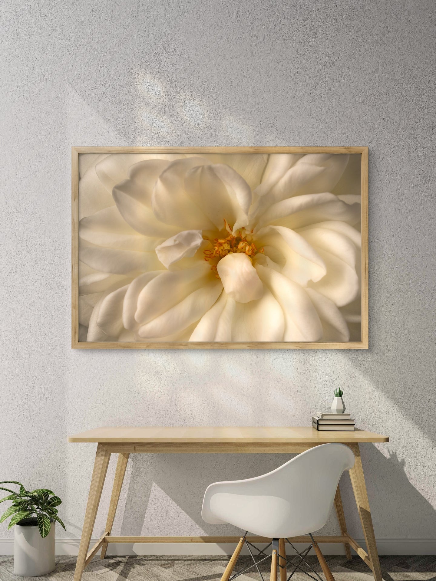 Close View White Rose