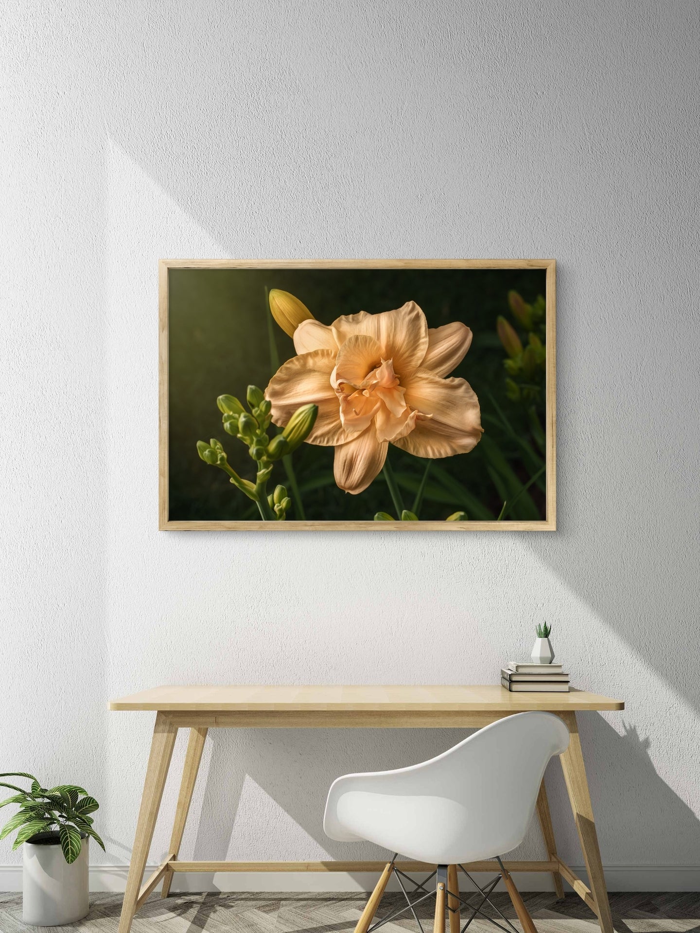 Peach Daylily and Buds