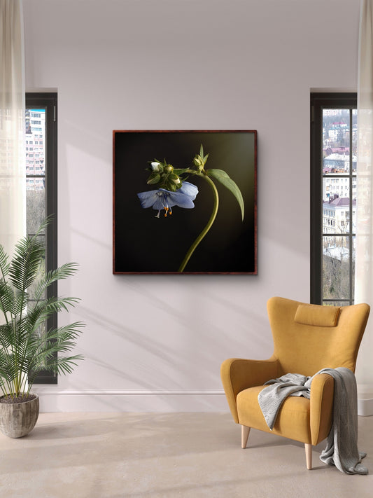 Blue Flower Nodding Flower