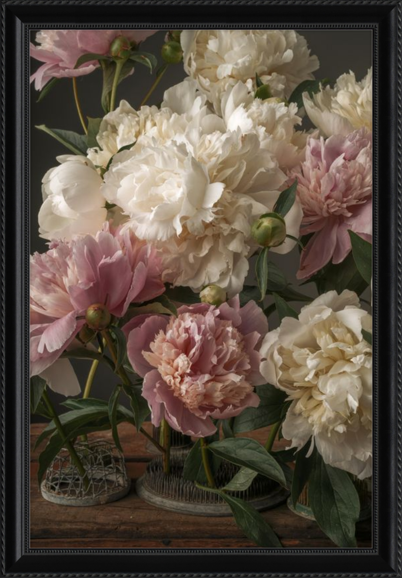 Romantic Peony Fine Art Print