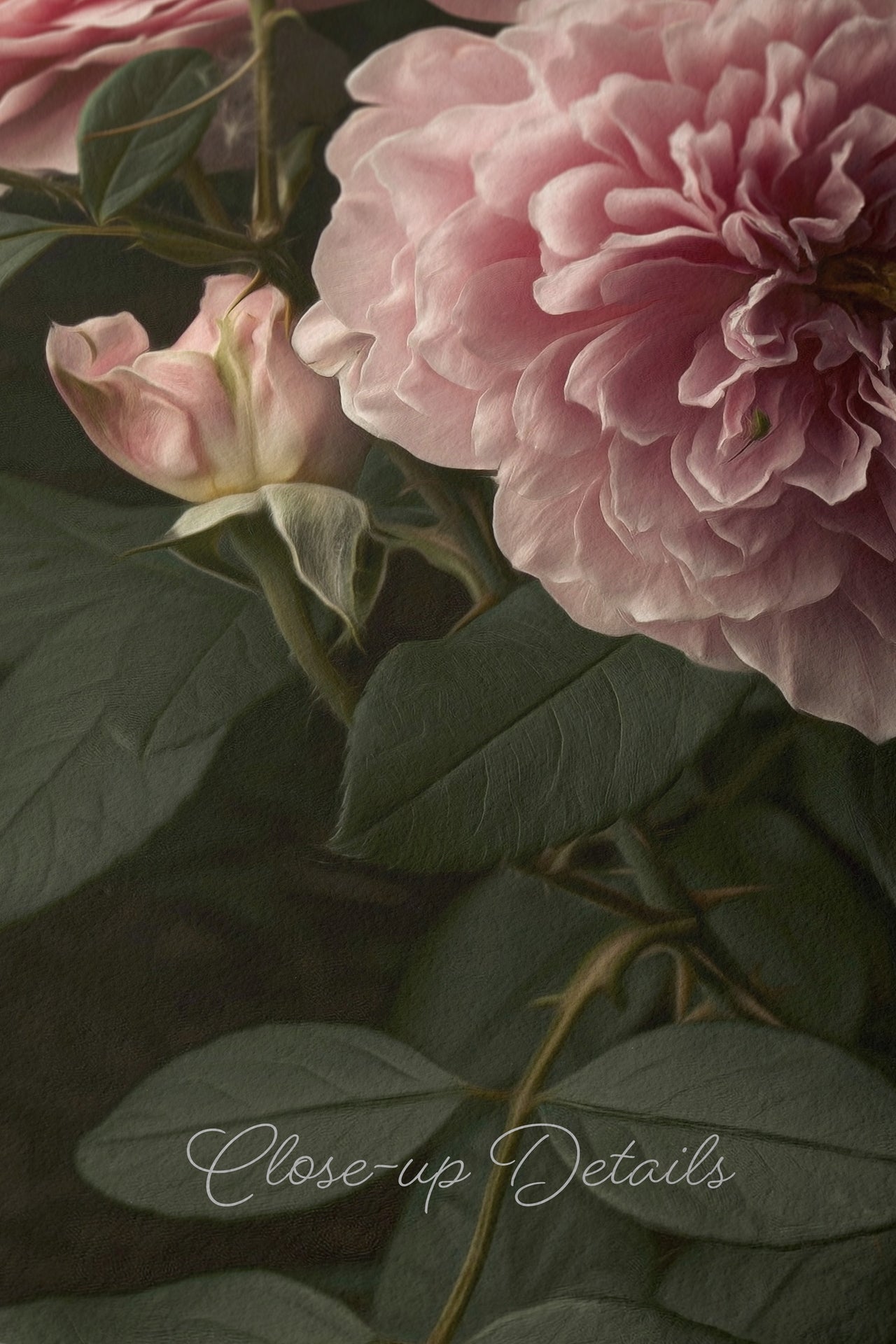 English Garden Roses Print, Elegant Painted Style, Original Photography