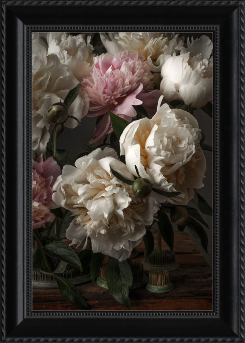 Ivory Blush Peonies