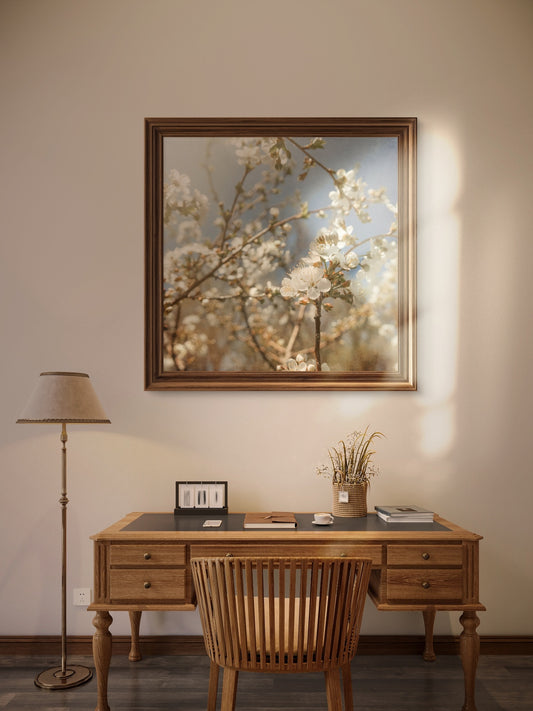 Spring White Cherry Blossoms