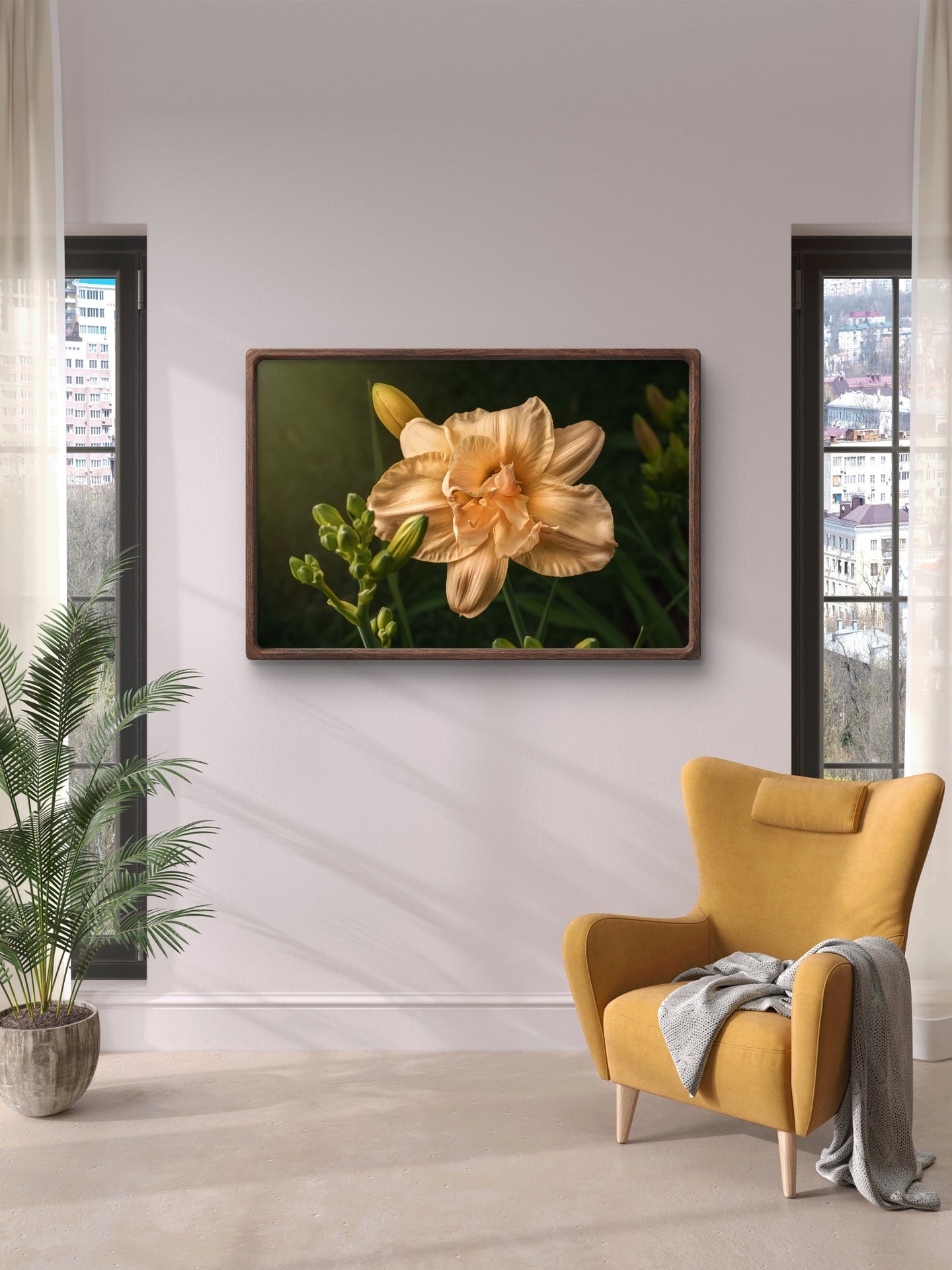 Peach Daylily and Buds