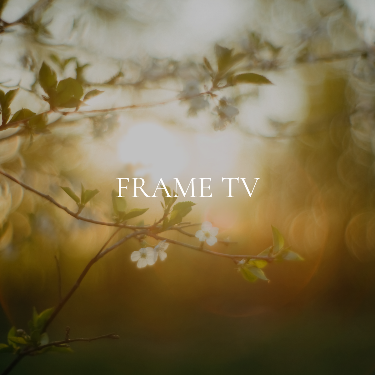 Frame TV