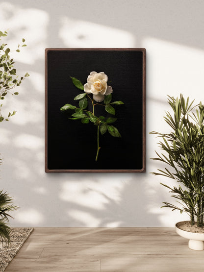 Single White Rose