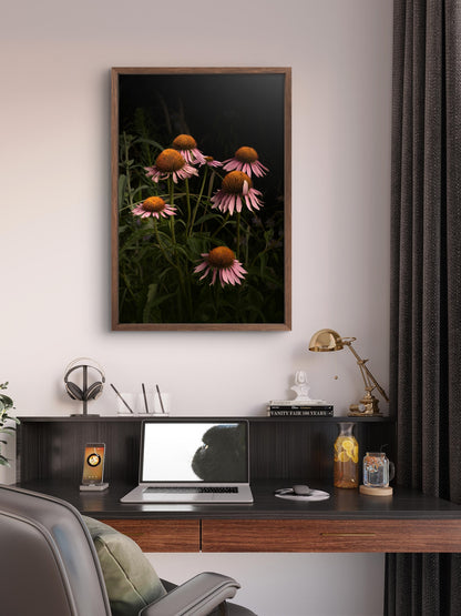 Elegant Pink Coneflowers in a Naturalistic Garden Setting 'The Wayward Petal'