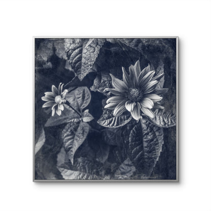 Blue Toned Black and White Floral Abstract
