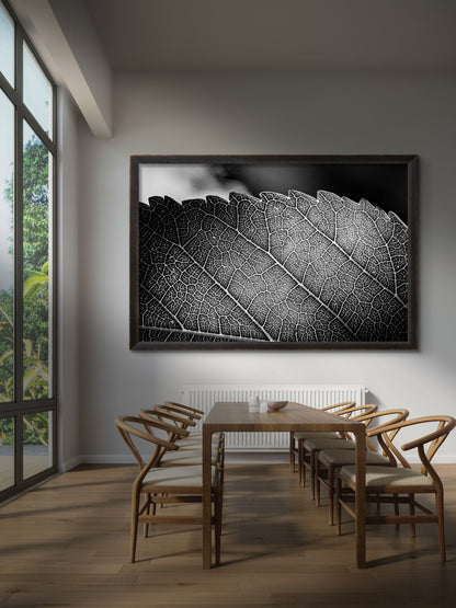 Black and White Leaf Vein Horizontal Print