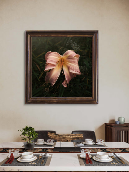 Bow Daylily