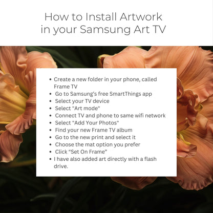 Peach Double Daylilies - Frame TV