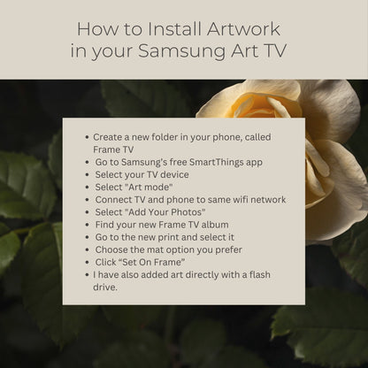 Yellow Rose - Frame TV