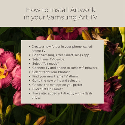 Prink Daylilies - Frame TV