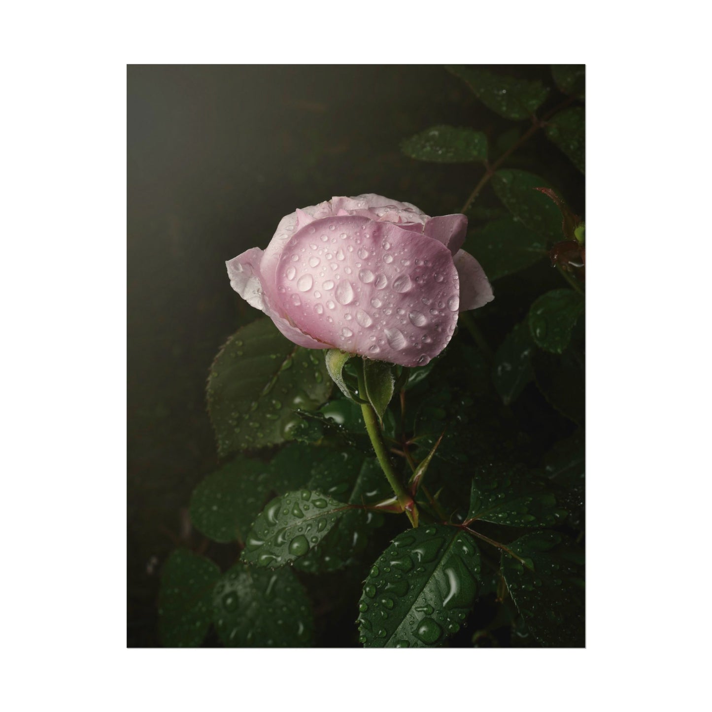 Fine Art Pink Garden Water Droplet Rose Photo, Watercolor Matte Poster, Gift for Garden and Flower Lovers, Coquette Wall Art, NOT AI