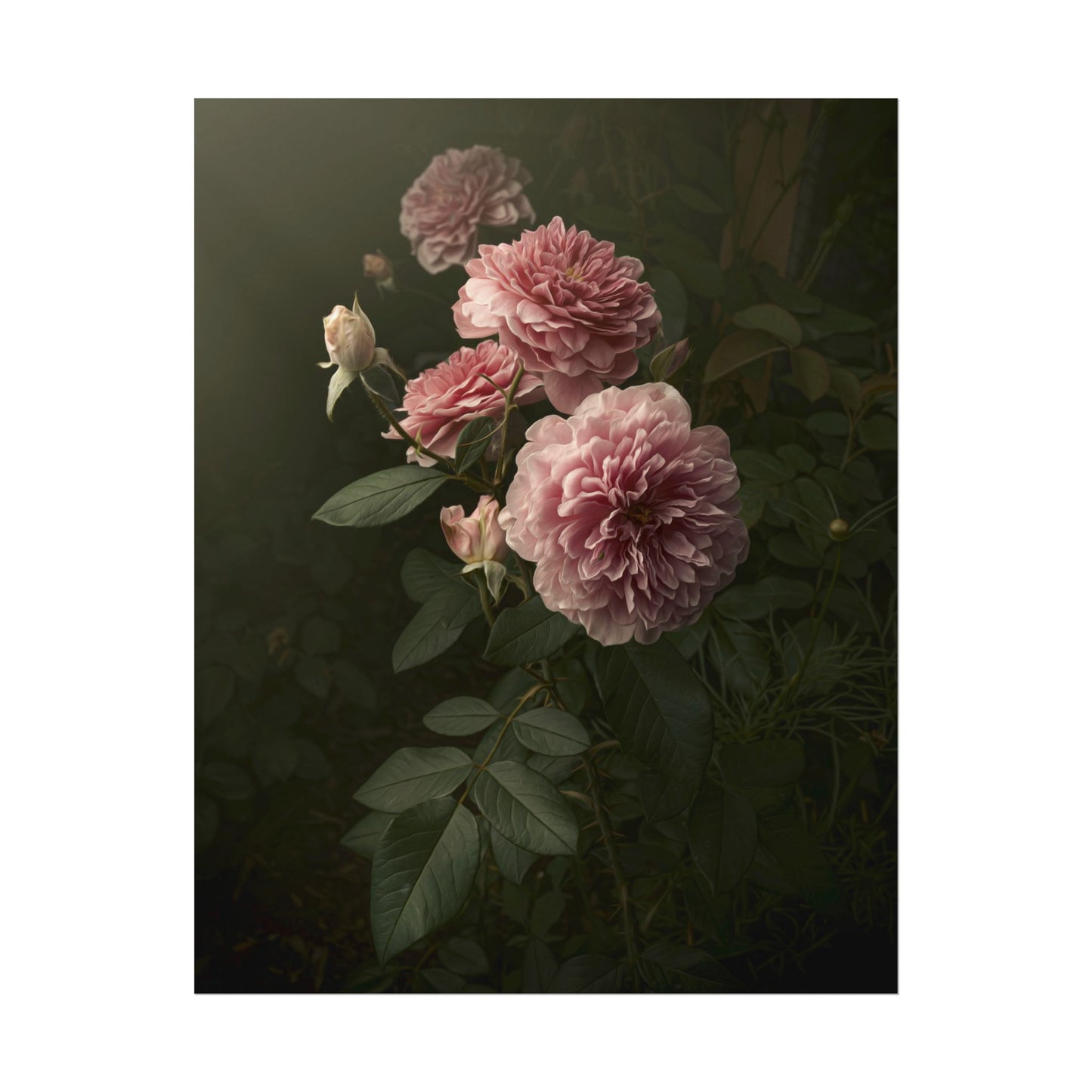 Fine Art Pink Garden Roses Photograph Watercolor Matte Poster, Gift for Garden and Flower Lovers, Floral Feminine Wall Art, Real Photography