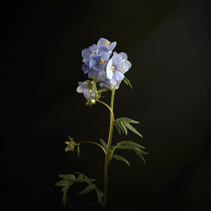 Minimalist Blue Floral Print