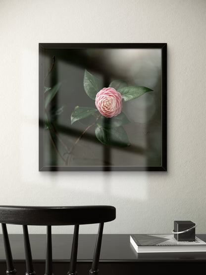 Camellia Pink & White Print