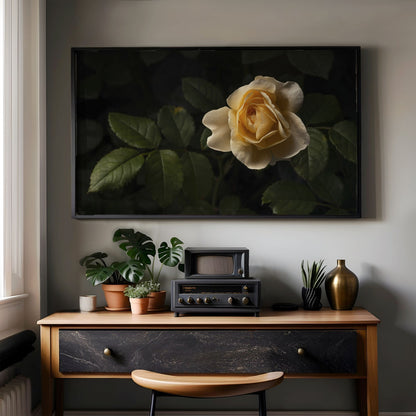 Yellow Rose - Frame TV