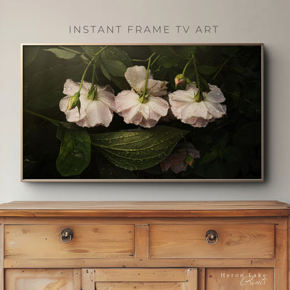 Trio of White Roses - Frame TV