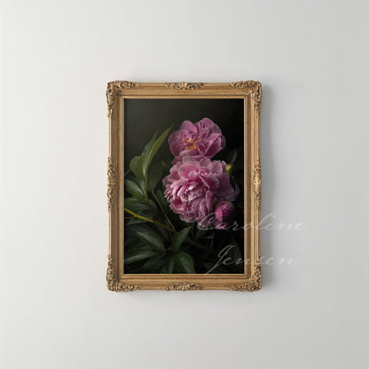 Pink Peonies in the Garden