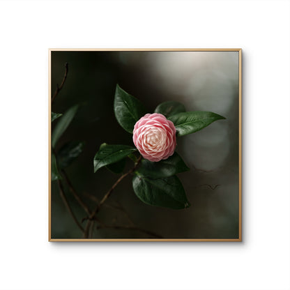 Camellia Pink & White Print