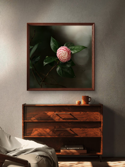 Camellia Pink & White Print