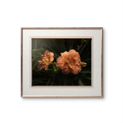 Ruffles on Daylilies, Peach Orange Moody Floral Horizontal Wall Art, Dramatic Photo Prints