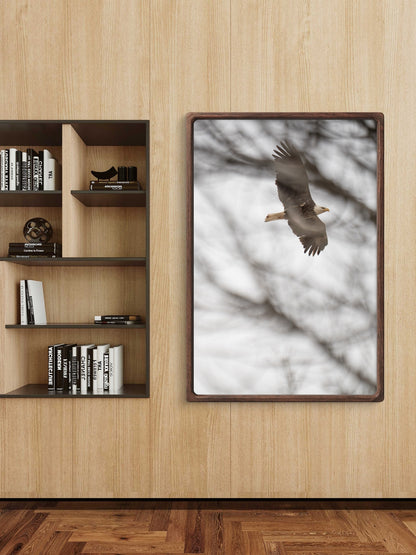 Eagle Flying Through Winter Trees