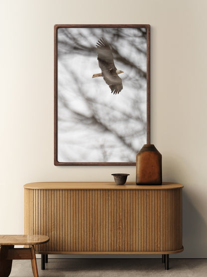Eagle Flying Through Winter Trees