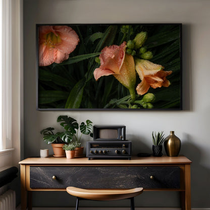 Daylilies after the Rain - Frame TV