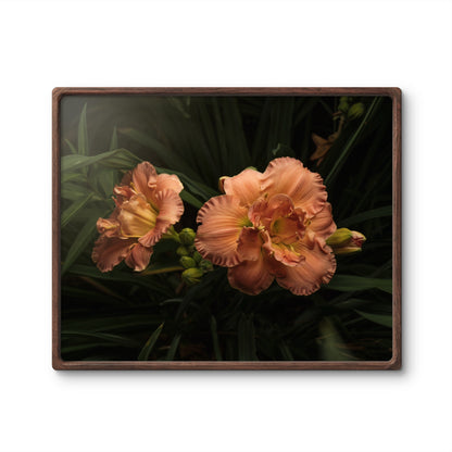 Ruffles on Daylilies, Peach Orange Moody Floral Horizontal Wall Art, Dramatic Photo Prints