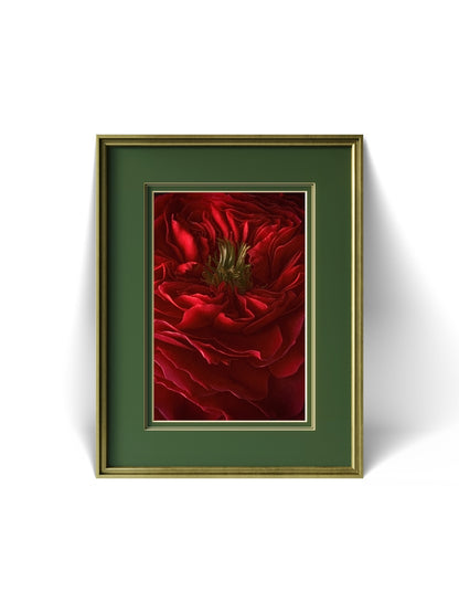 The Winter Red Rose, Dramatic Macro Red Petals Fine Art Photo, Statement Wall Art Piece, Vertical Moody