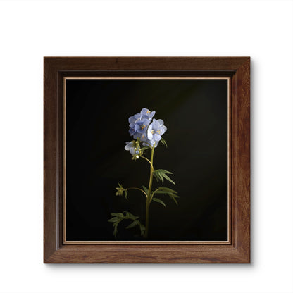 Minimalist Blue Floral Print