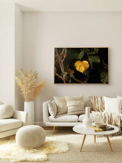 Heart Leaf Unframed Print
