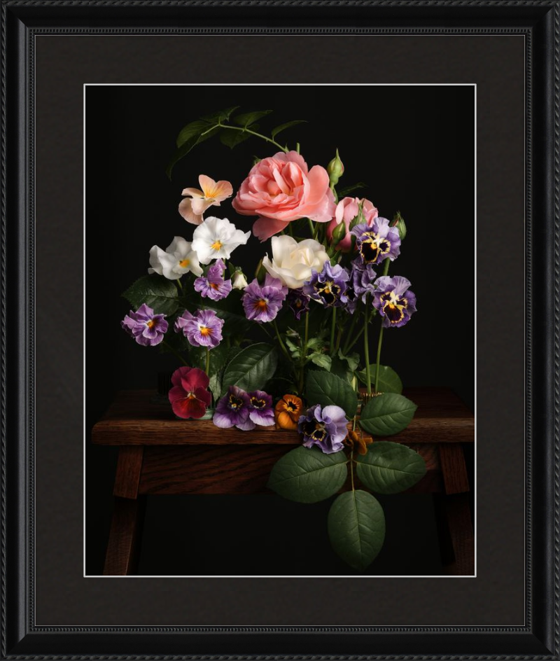 A Garden Diary, March 19th