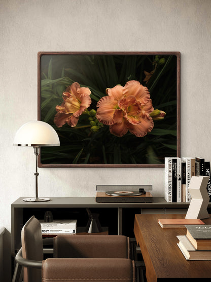 Ruffles on Daylilies, Peach Orange Moody Floral Horizontal Wall Art, Dramatic Photo Prints