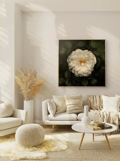 White Iceberg Rose Print