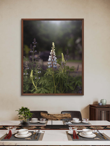 Spring Lupines