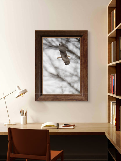 Eagle Flying Through Winter Trees