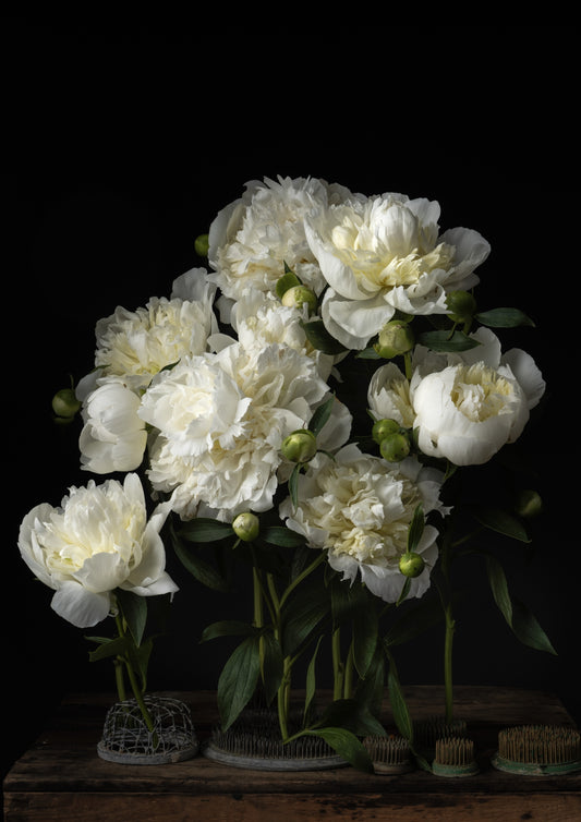 White Peonies with Vintage Flower Frogs