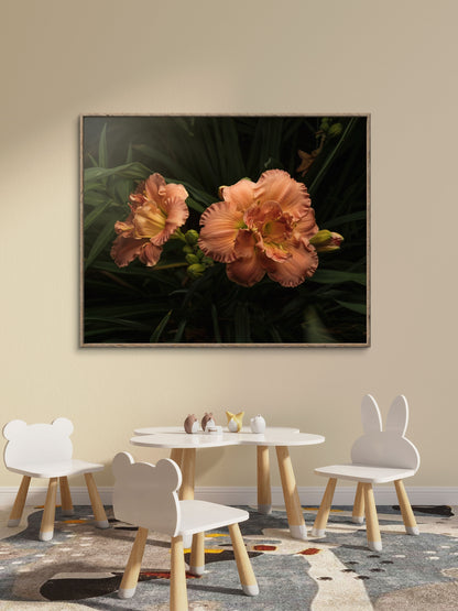 Ruffles on Daylilies, Peach Orange Moody Floral Horizontal Wall Art, Dramatic Photo Prints