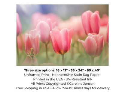 Blooming Pink Tulips in a Soft Dreamy Garden Setting